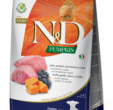 Храна за подрастващо куче от дребни породи N & D PUMPKIN с агнешко и боровинки